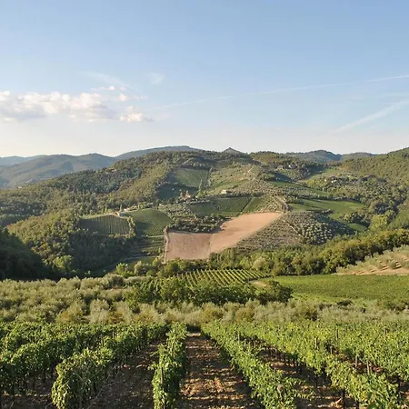Sangiovese Sup,